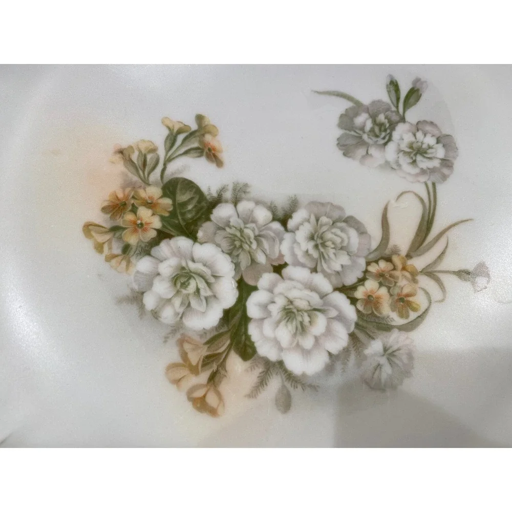 Antique Hand Painted Bavarian Plate w Handles Pearl White Lustrous 11